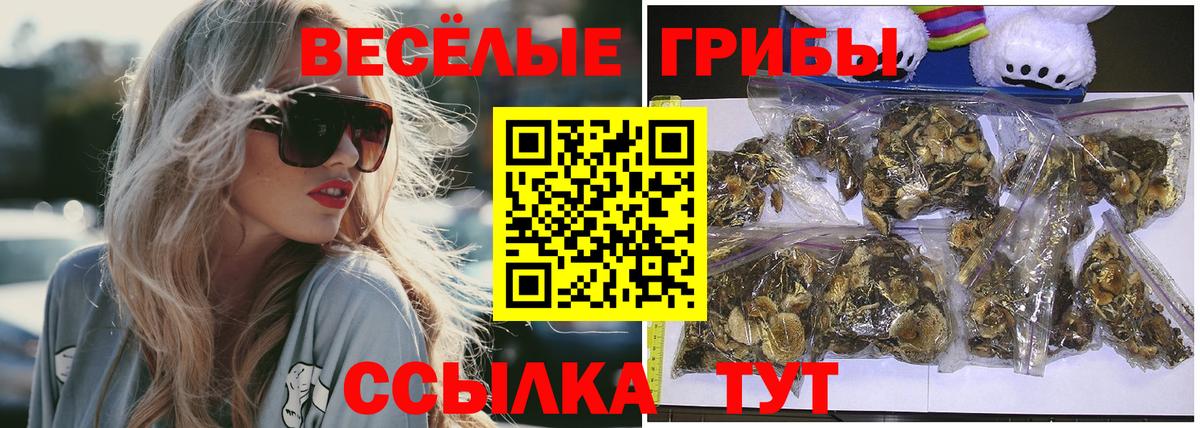 Тельмана  Псилоцибиновые грибы Cubensis  Вход с VPN  Псилоцибиновые грибы прущие грибы 